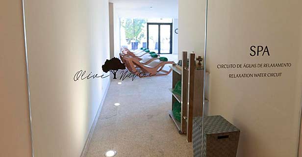 Hotel Spa Da Quinta Dona Adelaide Olive Nature