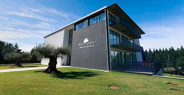 Hotel Spa Da Quinta Dona Adelaide Olive Nature