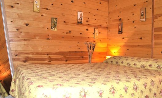 Hotel Spa Natura Resort