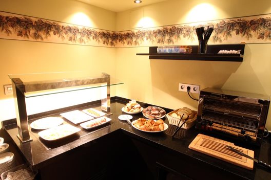 Hotel Spa Real Villa Anayet