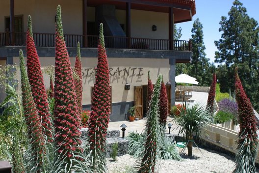 Hotel Spa Villalba
