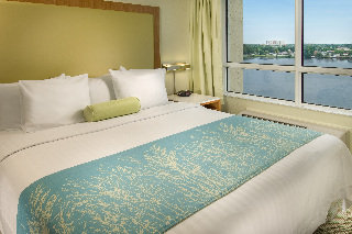 Hotel Springhill Suites By Marriott Miami Airport South