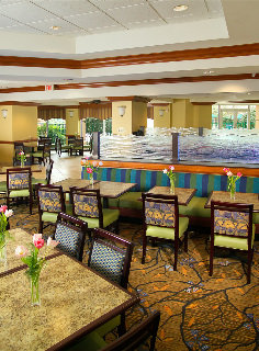 Hotel Springhill Suites Marriott Village