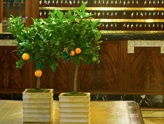 Hotel Starhotel Du Parc