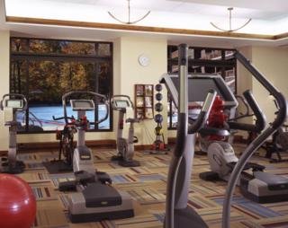 Hotel Stowe Mountain Lodge