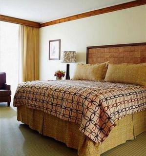 Hotel Stowe Mountain Lodge