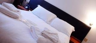 Hotel Swan