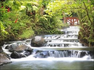 Hotel Tabacon Grand Spa Thermal Resort