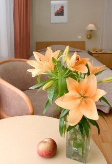 Hotel Tatari53