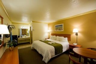 Hotel The Lord Inn Former Super 8 Orlando