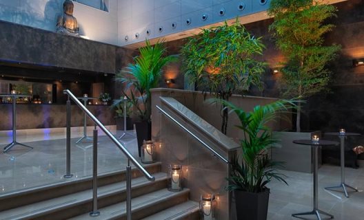 Hotel The Mayfair