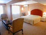 Hotel The Metropol