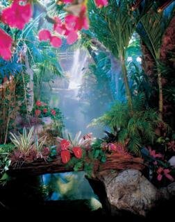 Hotel The Mirage