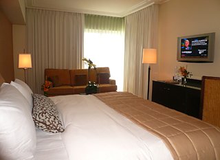 Hotel The Palms Hotel & Spa