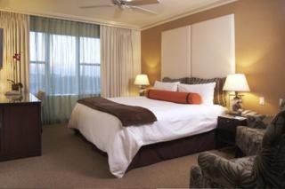 Hotel The Palms Hotel & Spa