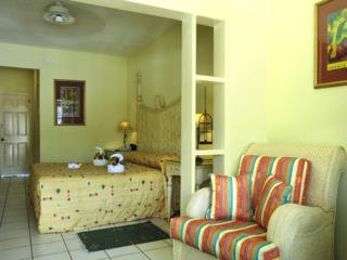 Hotel The Village Inn & Spa