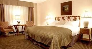Hotel The Whitehall