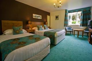Hotel The Wild Boar Country House