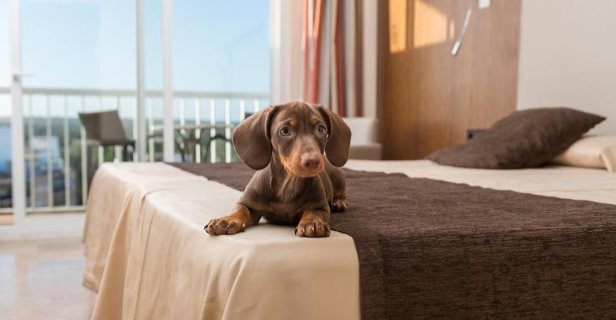 Hotel Torre Azul Spa Adults Only