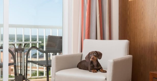 Hotel Torre Azul Spa Adults Only