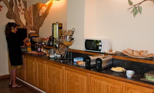 Hotel Torrecerredo