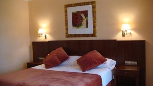 Hotel Torremilanos