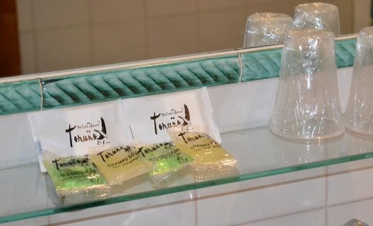 Hotel Toruño
