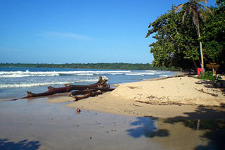 Hotel Totem Hotel Beach Resort
