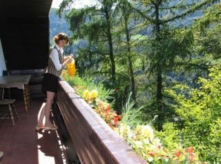 Hotel Trojane