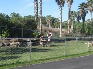 Hotel Tropical Palms Resort & Campground