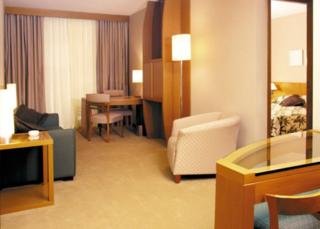 Hotel Tryp Convention Brasil 21