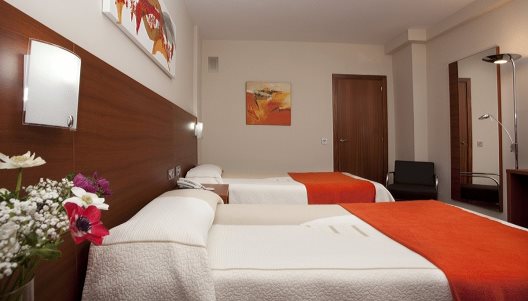 Hotel Txartel