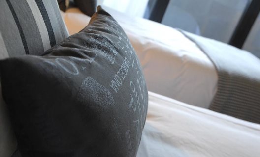 Hotel Txintxua