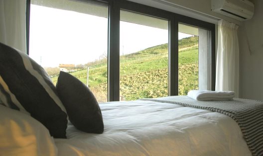 Hotel Txintxua