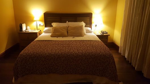 Hotel Usategieta