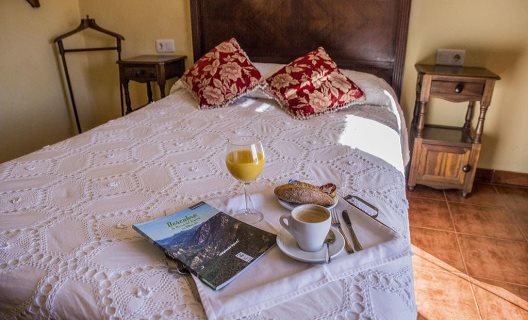 Hotel Val De Pinares
