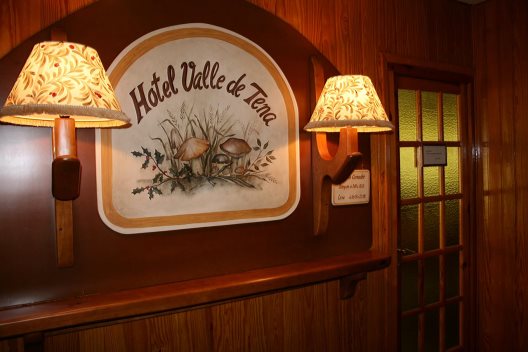 Hotel Valle De Tena