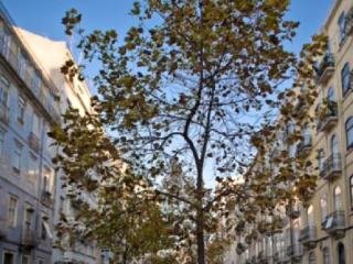 Hotel Valmor
