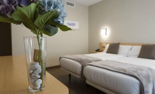 Hotel Vettonia
