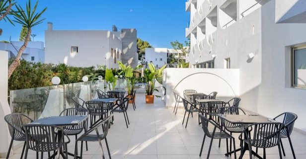 Hotel Vibra Palma Cactus