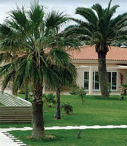 Hotel Vila Baleira Porto Santo