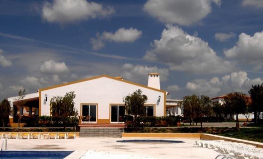 Hotel Vila Gale Alentejo Vineyard