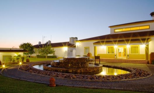 Hotel Vila Gale Alentejo Vineyard