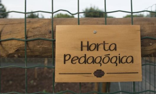 Hotel Vila Gale Alentejo Vineyard