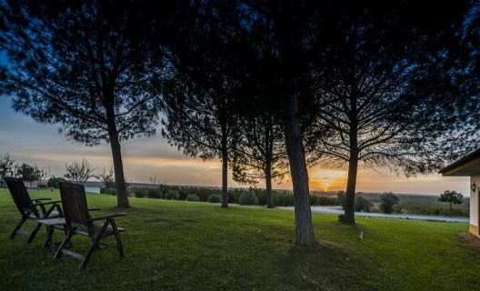 Hotel Vila Gale Alentejo Vineyard