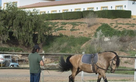 Hotel Vila Gale Alentejo Vineyard