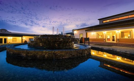Hotel Vila Gale Alentejo Vineyard