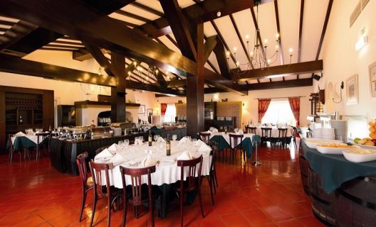 Hotel Vila Gale Alentejo Vineyard