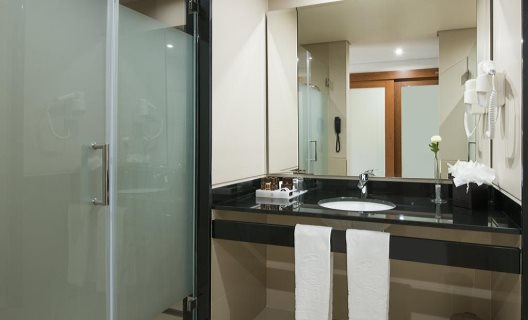 Hotel Vila Gale Collection Braga