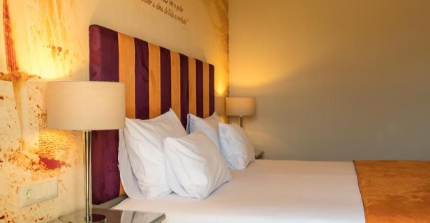 Hotel Vila Gale Douro Vineyards